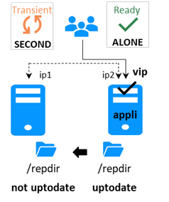 Failback and reintegration of a mirror module